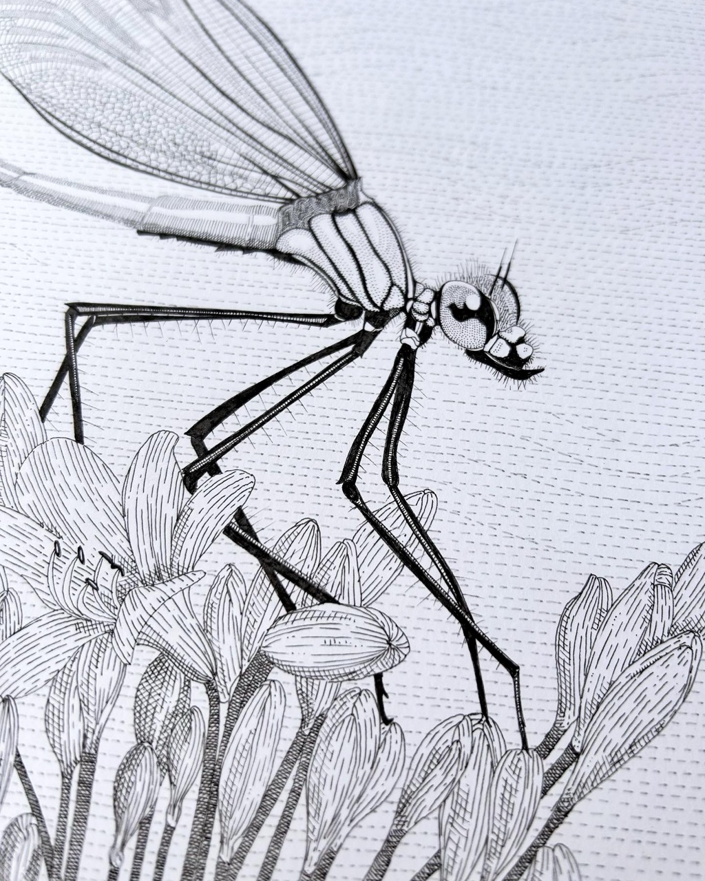 The botanic inkwell - Image 4