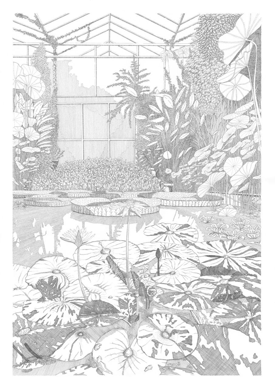 The botanic inkwell - Image 3