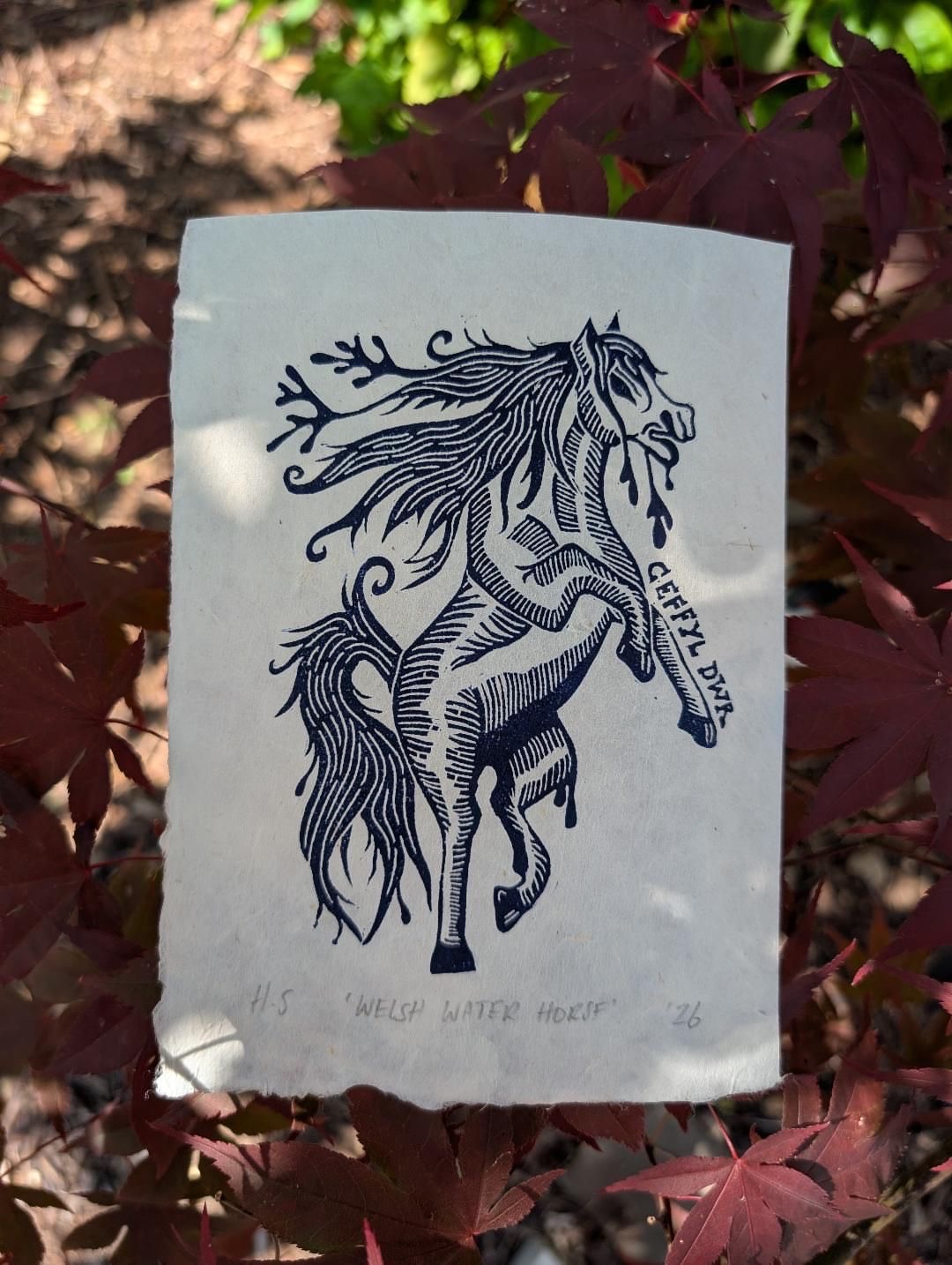 Han Makes Prints - Image 2